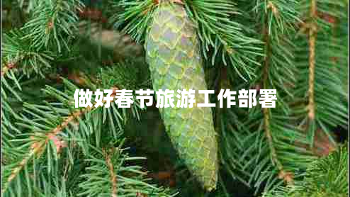 做好春節(jié)旅游工作部署 做好春節(jié)旅游工作部署