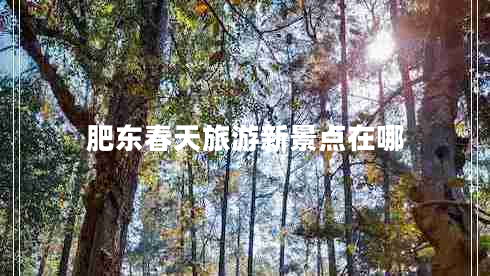 肥東春天旅游新景點在哪