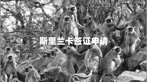 斯里蘭卡簽證申請 斯里蘭卡簽證申請