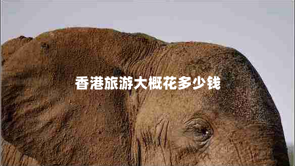 香港旅游大概花多少錢