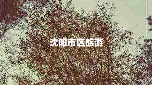 沈陽市區(qū)旅游