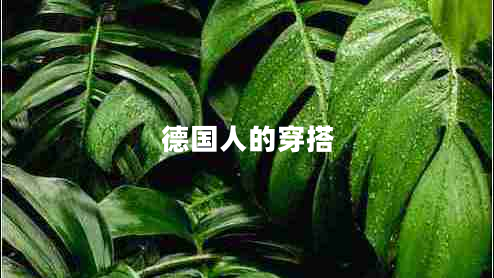德國(guó)人的穿搭 德國(guó)人的穿搭