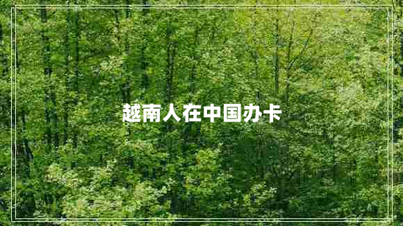 越南人在中國(guó)辦卡