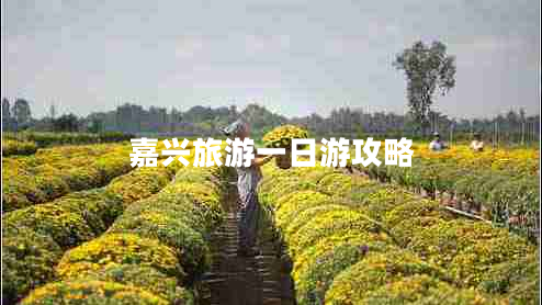 嘉興旅游一日游攻略