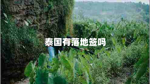 泰國有落地簽嗎