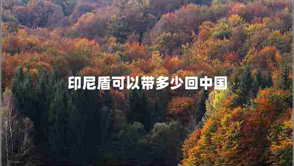 印尼盾可以帶多少回中國 印尼盾可以帶多少回中國