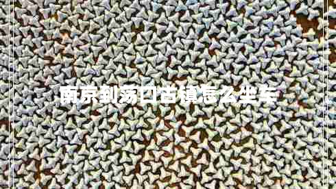 南京到蕩口古鎮(zhèn)怎么坐車 南京到蕩口古鎮(zhèn)怎么坐車