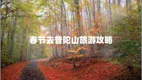 春節(jié)去普陀山旅游攻略 春節(jié)去普陀山旅游攻略
