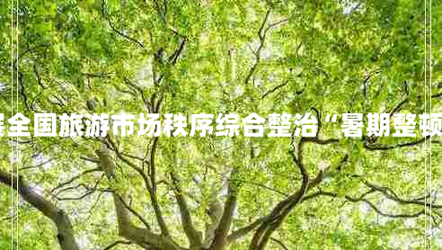 關(guān)于開(kāi)展全國(guó)旅游市場(chǎng)秩序綜合整治“暑期整頓”的通知