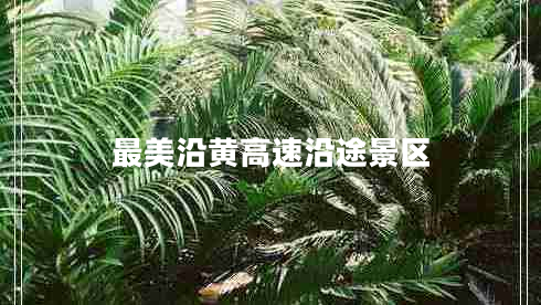 最美沿黃高速沿途景區(qū)