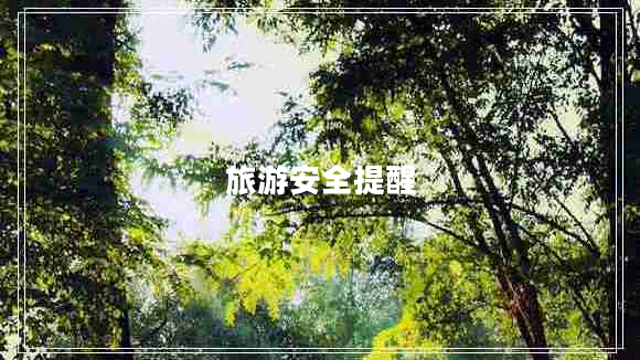 旅游安全提醒 旅游安全提醒