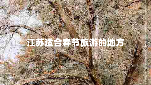 江蘇適合春節(jié)旅游的地方