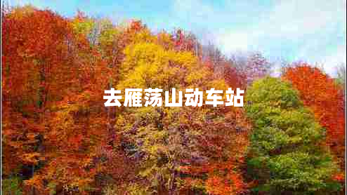 去雁蕩山動車站 去雁蕩山動車站