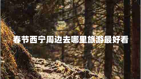 春節(jié)西寧周邊去哪里旅游最好看