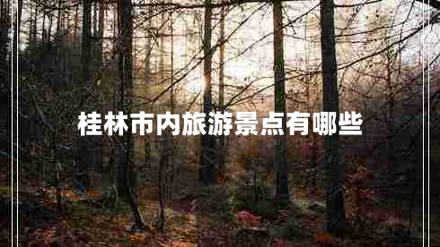 桂林市內(nèi)旅游景點(diǎn)有哪些 桂林市內(nèi)旅游景點(diǎn)有哪些