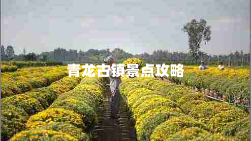 青龍古鎮(zhèn)景點(diǎn)攻略