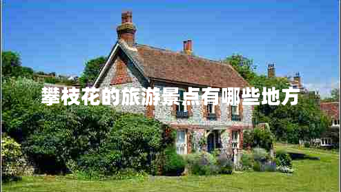 攀枝花的旅游景點(diǎn)有哪些地方