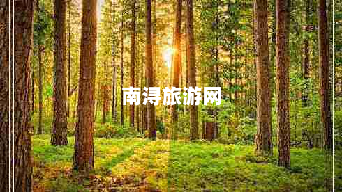 南潯旅游網(wǎng)
