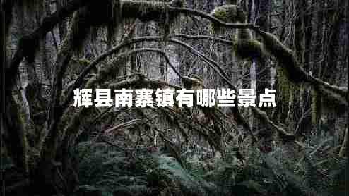 輝縣南寨鎮(zhèn)有哪些景點 輝縣南寨鎮(zhèn)有哪些景點