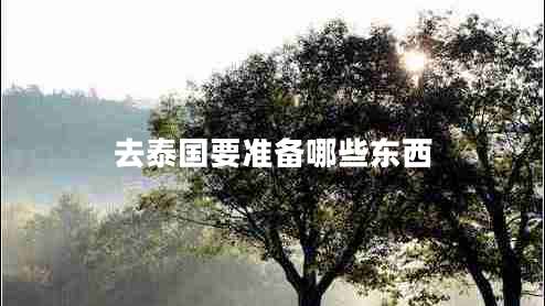 去泰國(guó)要準(zhǔn)備哪些東西