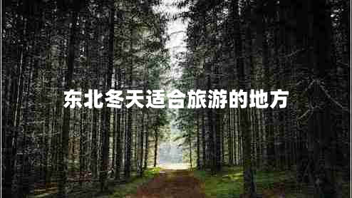 東北冬天適合旅游的地方