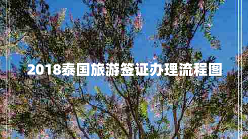 2018泰國旅游簽證辦理流程圖