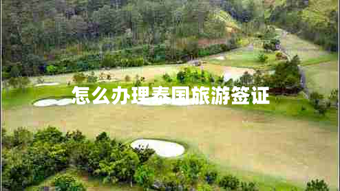 怎么辦理泰國旅游簽證