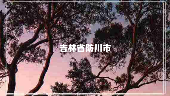 吉林省防川市