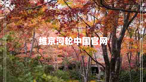 維京河輪中國官網(wǎng)