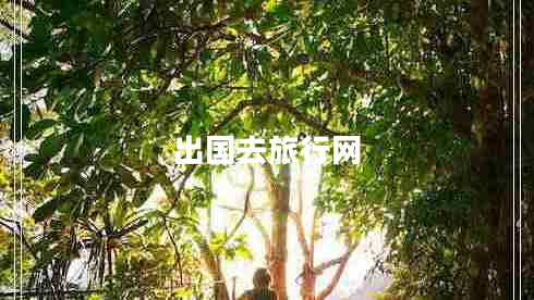 出國(guó)去旅行網(wǎng)