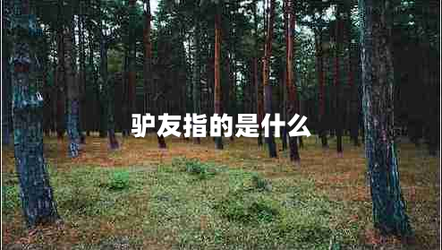 驢友指的是什么 驢友指的是什么