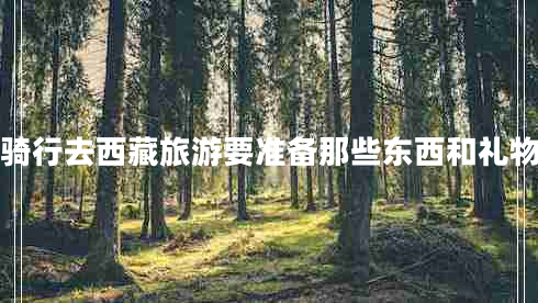 騎行去西藏旅游要準(zhǔn)備那些東西和禮物