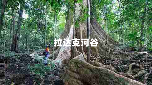 拉達克河谷