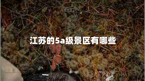 江蘇的5a級景區(qū)有哪些