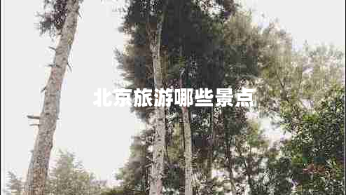 北京旅游哪些景點(diǎn)