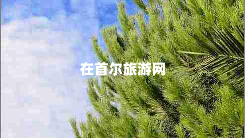 在首爾旅游網(wǎng)