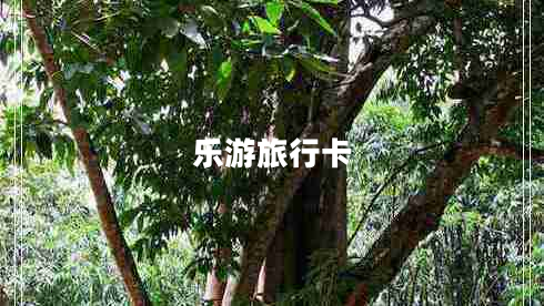 樂(lè)游旅行卡