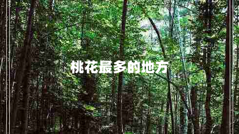 桃花最多的地方