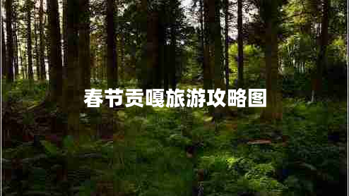 春節(jié)貢嘎旅游攻略圖 春節(jié)貢嘎旅游攻略圖