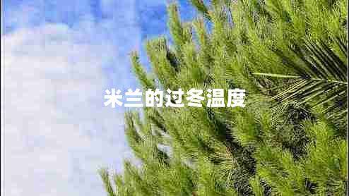 米蘭的過冬溫度