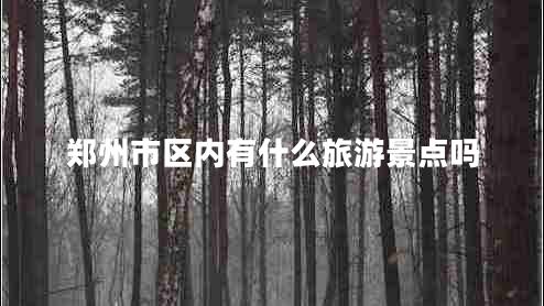 鄭州市區(qū)內(nèi)有什么旅游景點(diǎn)嗎 鄭州市區(qū)內(nèi)有什么旅游景點(diǎn)嗎