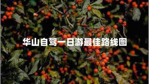 華山自駕一日游最佳路線圖
