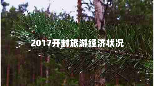 2017開(kāi)封旅游經(jīng)濟(jì)狀況