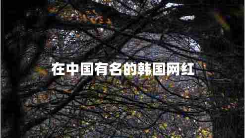在中國(guó)有名的韓國(guó)網(wǎng)紅 在中國(guó)有名的韓國(guó)網(wǎng)紅