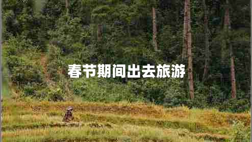 春節(jié)期間出去旅游