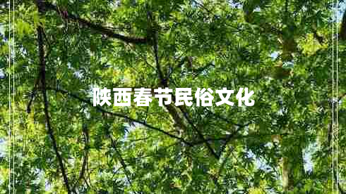 陜西春節(jié)民俗文化 陜西春節(jié)民俗文化