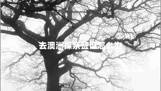 去澳洲探親簽證怎么辦