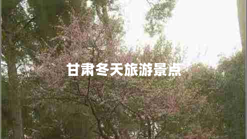 甘肅冬天旅游景點(diǎn)