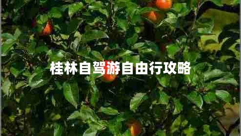 桂林自駕游自由行攻略 桂林自駕游自由行攻略