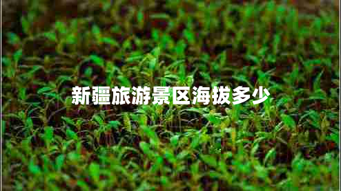 新疆旅游景區(qū)海拔多少